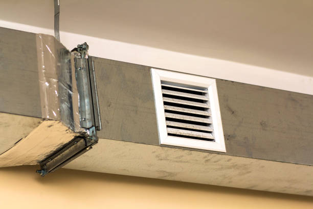 Air Duct Mold Removal in WA